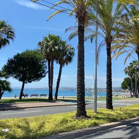 Marina Baie Des Anges Вильнёв-Лубе