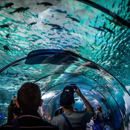 Отель Marina Baie Des Anges Вильнёв-Лубе